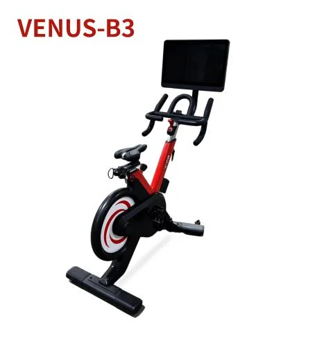 Wnq Hot Sale Venus-B3 Commercial 10.5kg Flywheel Exercise Bike