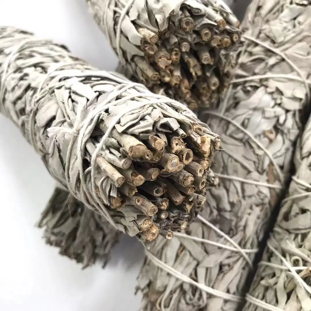 Wholesale/Supplier Organic Dried Leaves White Sage Smudge Stick for Incense