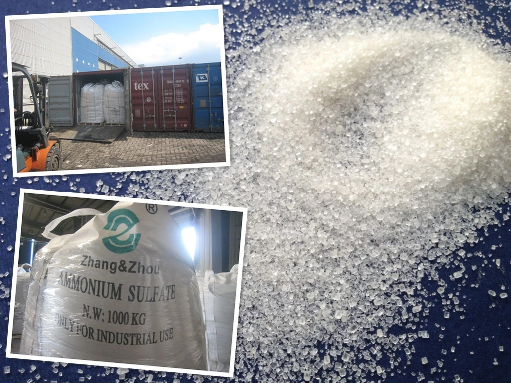 Ammonium Sulphate with SGS Soa