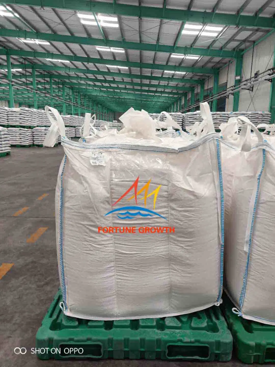 Cost-Effective L-Lysine HCl Feed Grade CAS No. 657-27-2