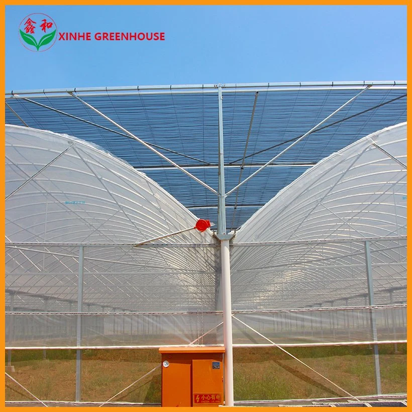 Hydroponics System Commercial Multi-Span Plastic Po Film Greenhouse for Strawberry