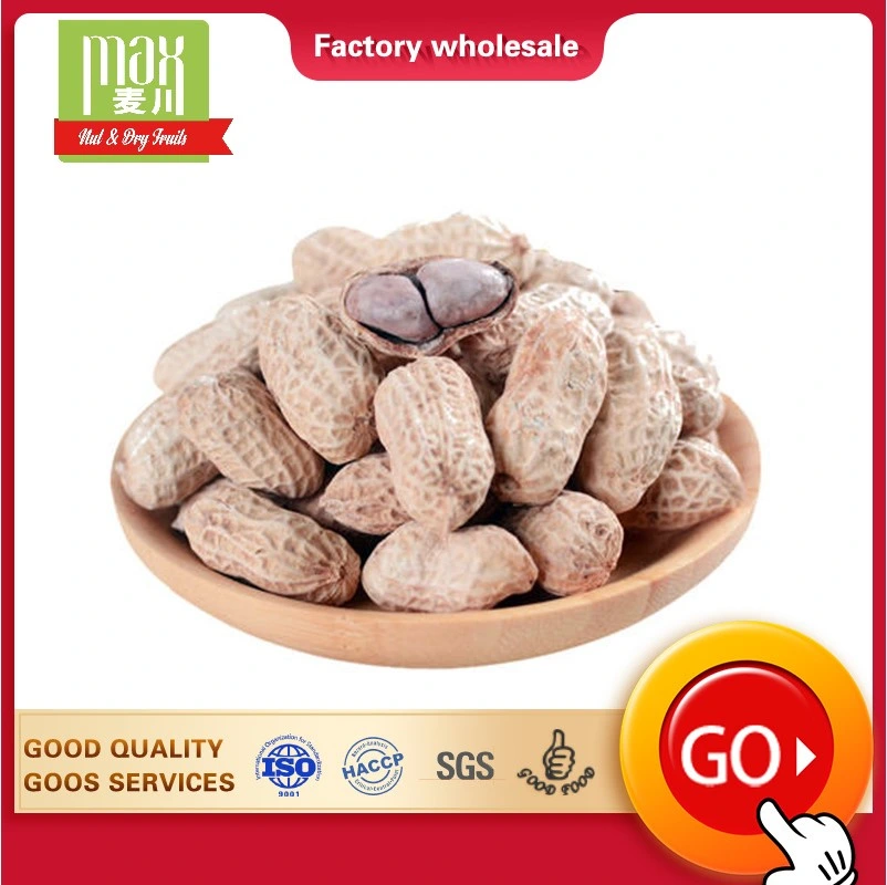 Wholesale/Supplier New Crop Salted Taste Roasted Peanut in Shell Healthy Delicous Salted