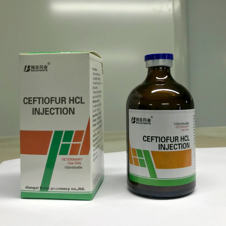 5% Cerftiofur HCl Injection Treatment Bacterial Diseases in Livestock and Poultry