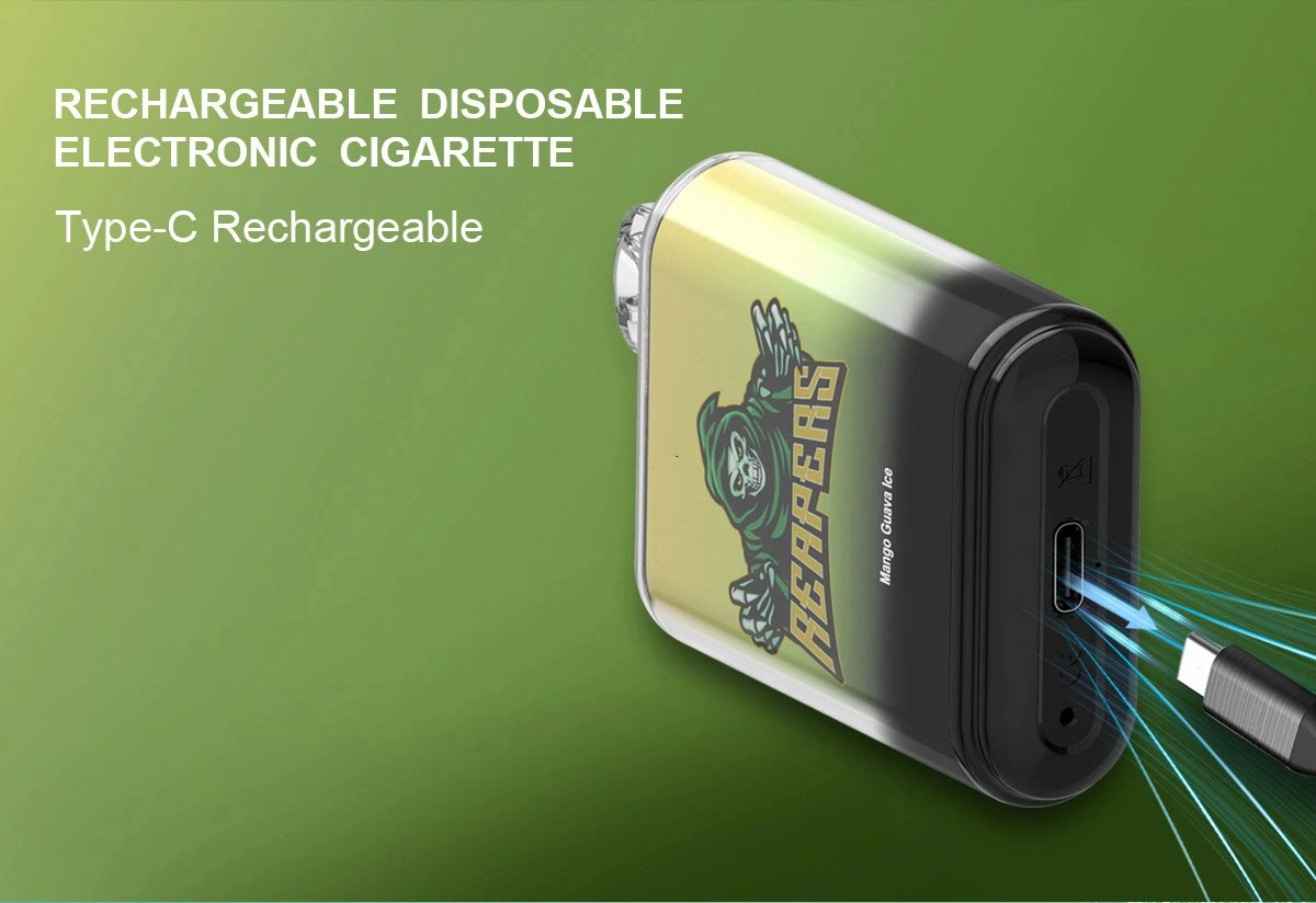 Wholesale/Supplier Price 8000puff Disposable/Chargeable Electronic Cigarette Vape Pen 14ml 5% Rechargeable OEM ODM Logo