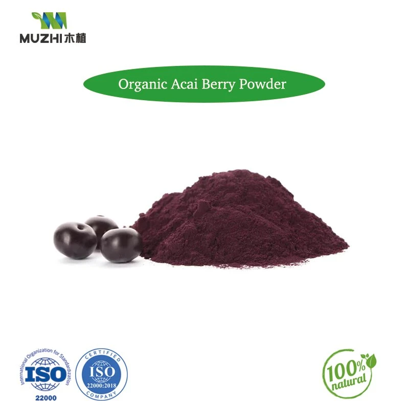 Organic Fruit Powder Organic Fruit Freeze Dried Banana Powder