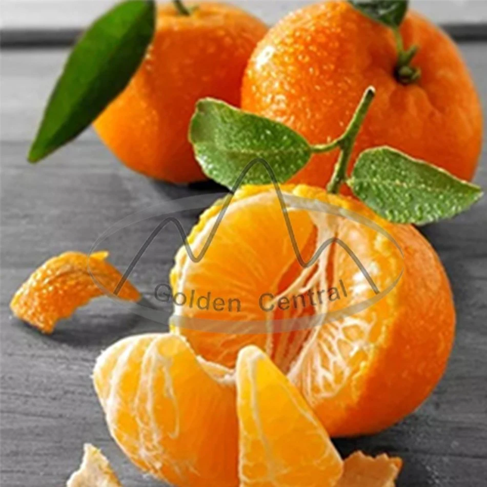 China 2023 Nuevo cítricos frescos deliciosos Mayorista/Proveedor naranja jugosa.