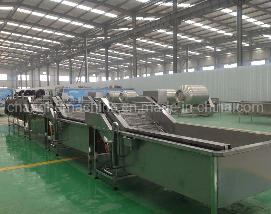 Fully Automatic Surfing Cleaning Equipment for Mountain and Wild Vegetable Processing Equipment