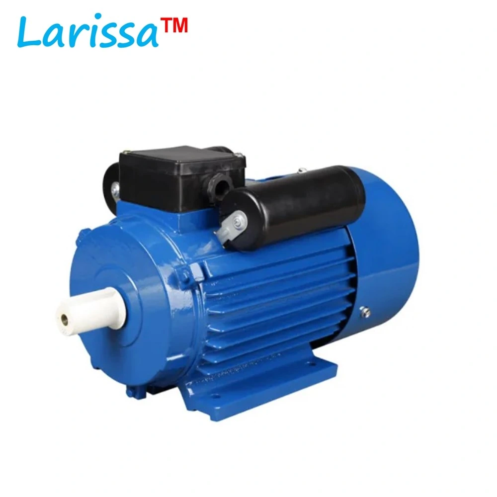 AC Single Phase Electric Induction Motor 220V 0.5HP 1HP 1.5HP 2.2HP 3HP 4HP 5.5HP Ycl Yc Series