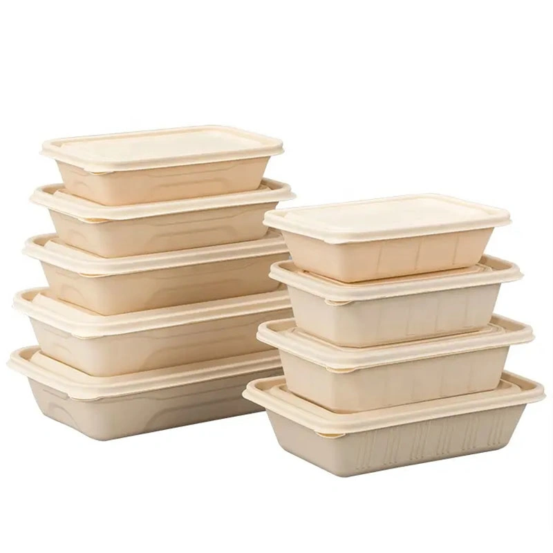 Biodegradable Corn Starch Food Container Take Away Food Environmental Lunch Packing Box