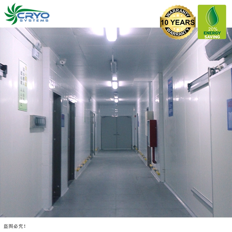 White Onion Water Melon Seeds Cold Storage Room Ventilation Bally Cold Room Cold Storage for Onion