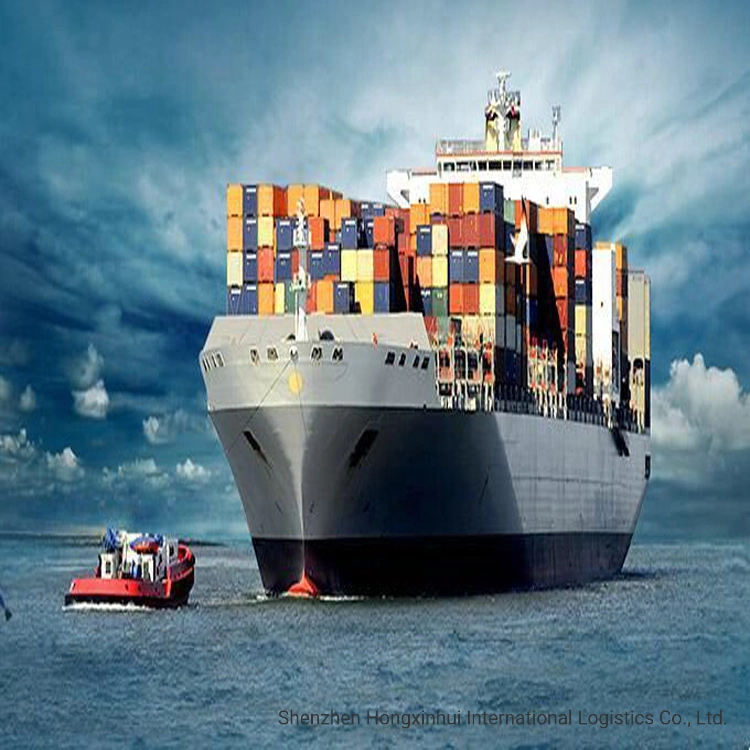 Sea Shipping LCL Freight Forwarder From China to Aarhus Denmark Professional Fast Reliable Logistics Services