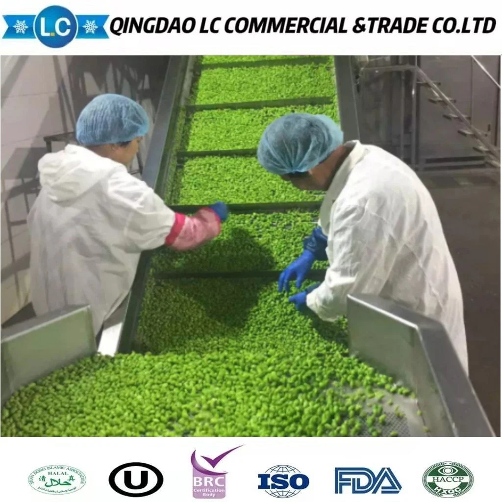 Bulk Roh Edamame Gemüse Produkte Frozen Green Soy Bean