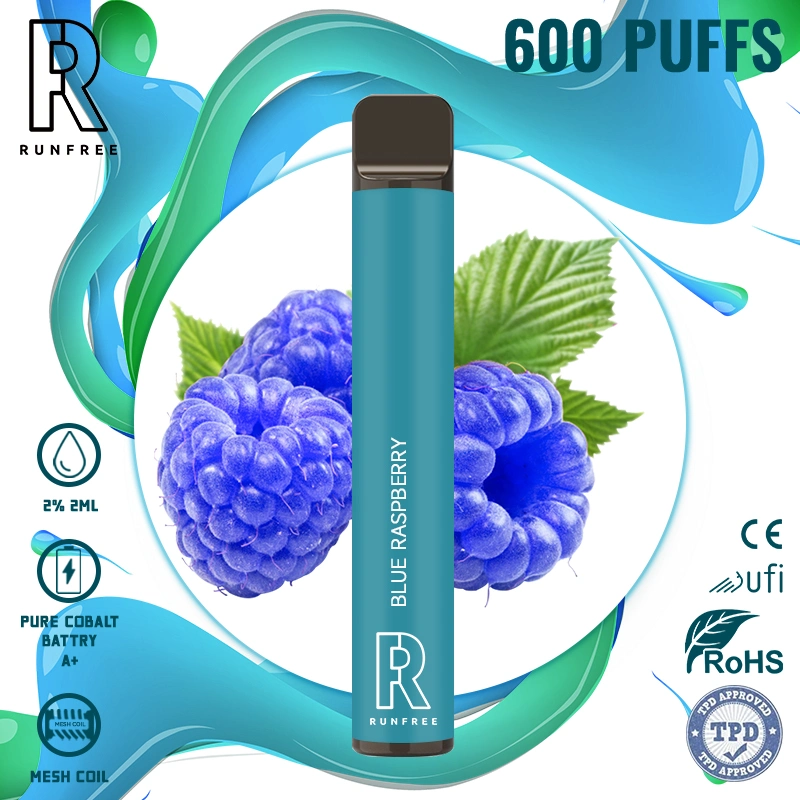 Großhandel Einweg-Zigarette 600 Puffs Flavored Rauchen E Liquide für Vapes