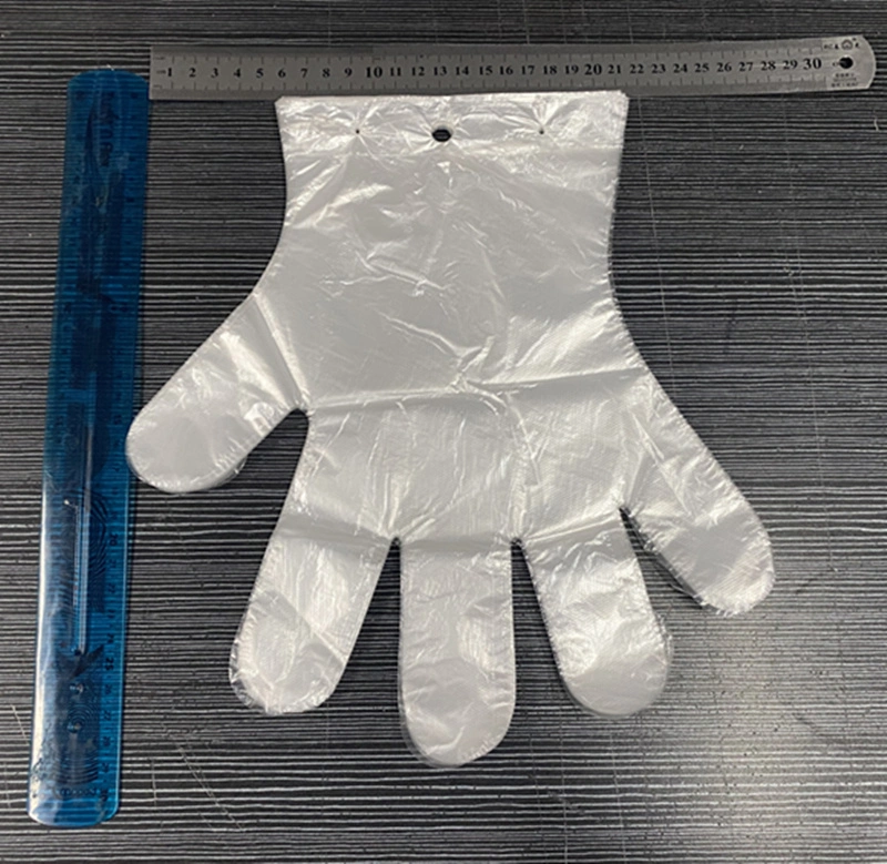 Hot Sale Disposable Plastic Glove_Blue Color Transparent