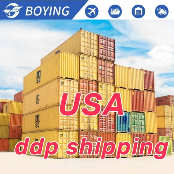 Shipping Agent to United Arab Emirates Freight Forwarder Sea Shipping DDP From China Shipping to United Arab Emirates