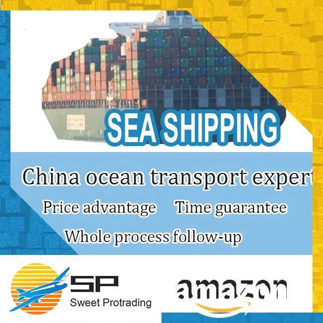 International Realiable Best Cheapest Sea Shipping Company with DDP Freight Forwarder