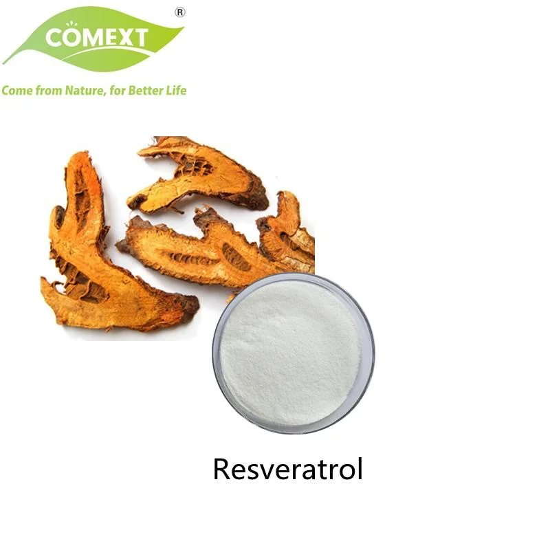 Comext Kostenlose Probe Am Besten Verkaufen Polygonum Cuspidatum Extrakt Acetyl-Resveratrol 98% Oxyresveratro L98% Kräuterextrakt