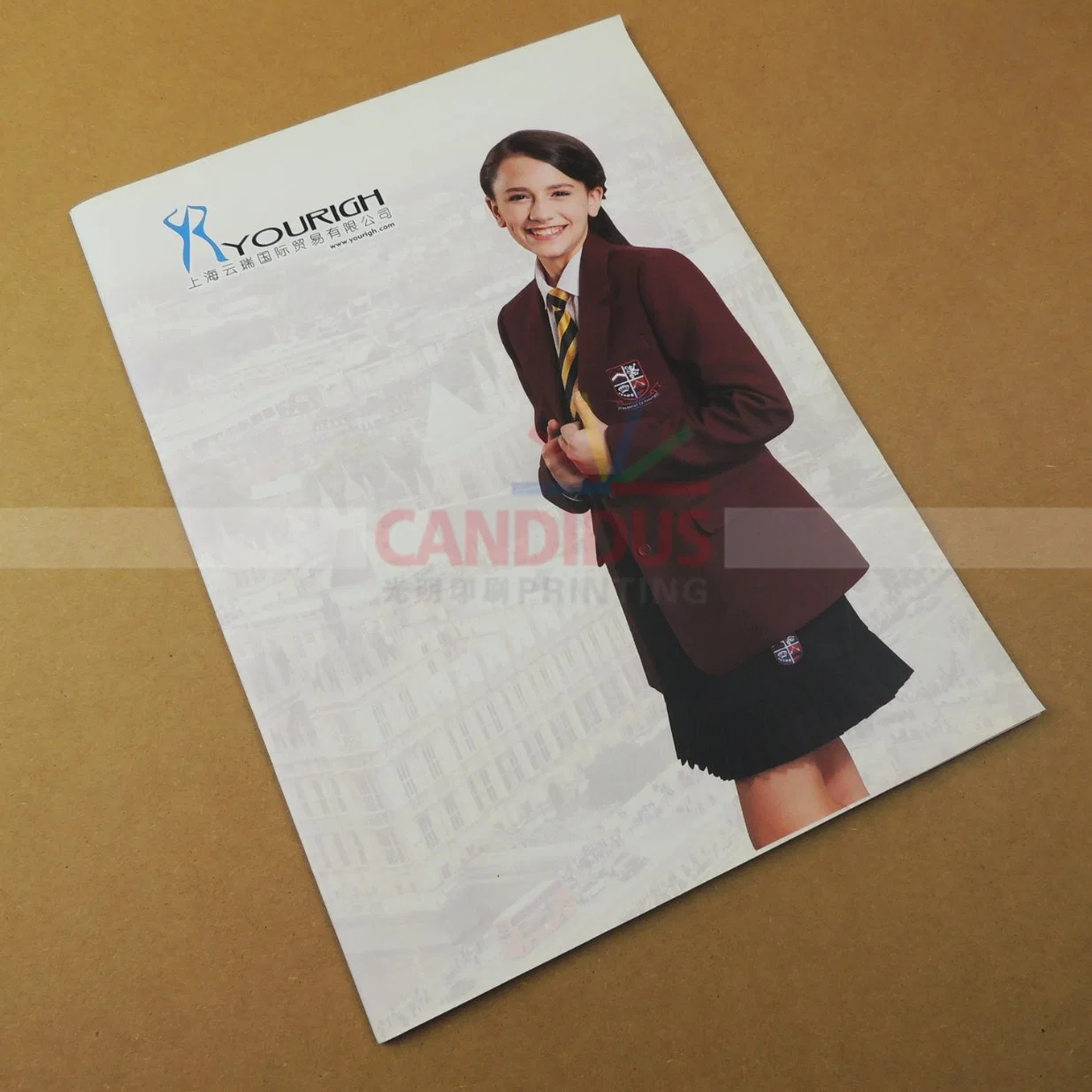 Quality Catalog Print Booklet Brochure Printing