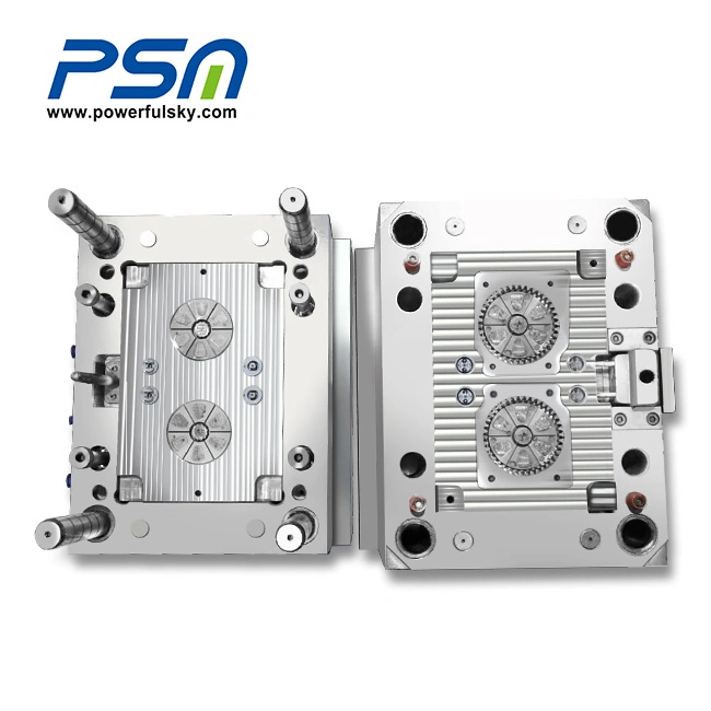 Plastic Injection Molding Design Powerfulsky Manufacture