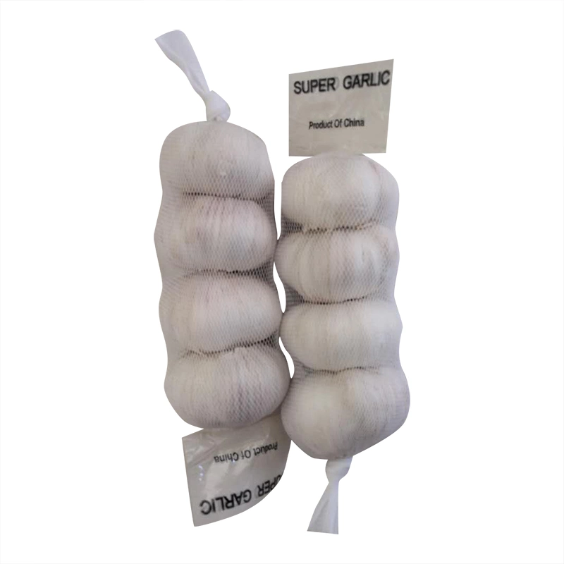 China Supply Organic White Garlic with Mesh Bag