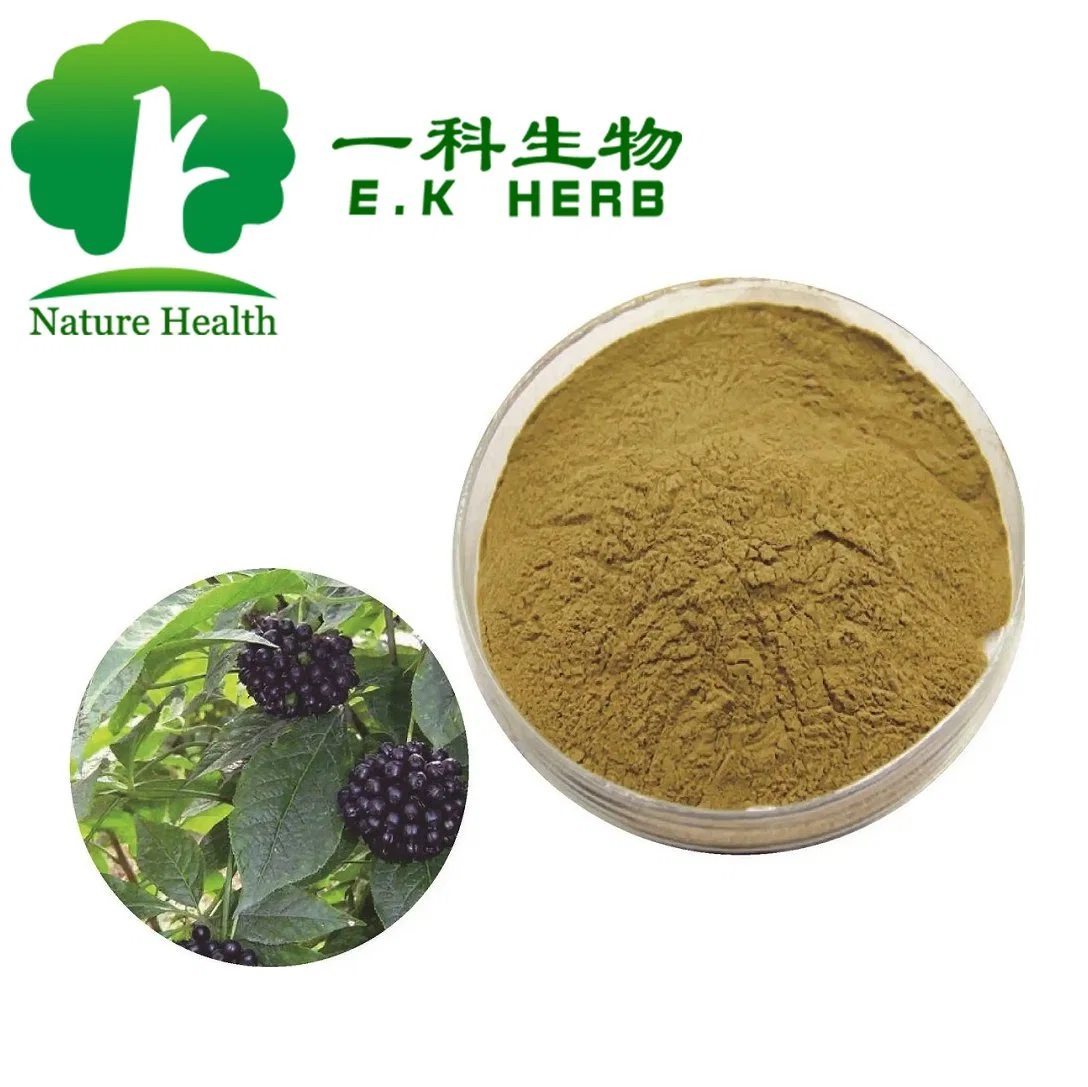 E. K Herb Siberian Ginseng Extract Eleutheroside Eleuthero Root Extract