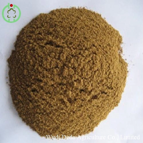 Meat Bone Meal Poultry Feed Livestocks Feed