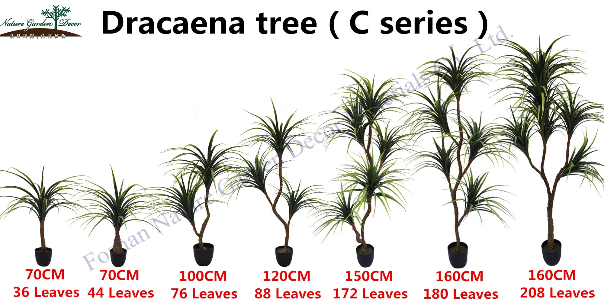 Cheap Dracaena Fragans Topiary Verde Drago de plantas tropicales de interior