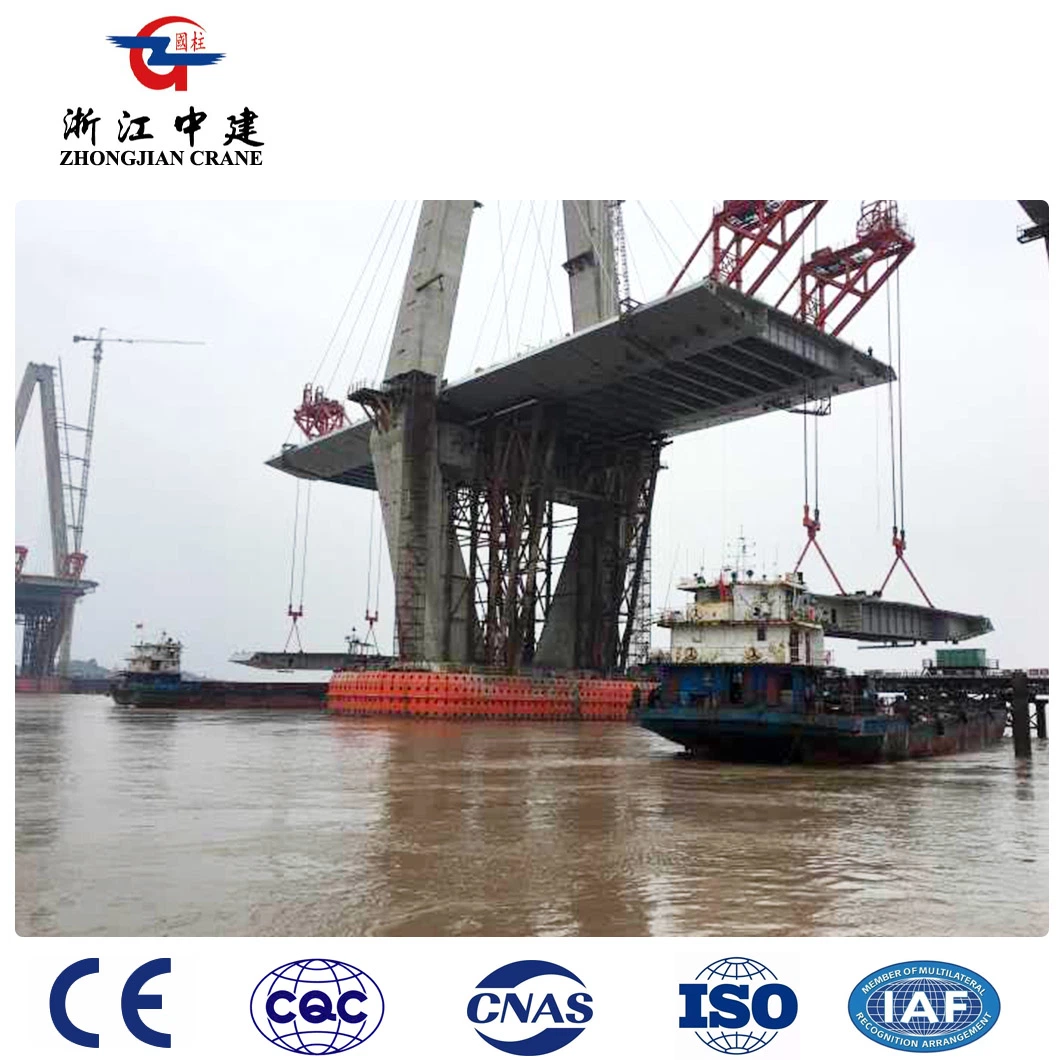 330ton/400ton/500 Ton Fixed Segment Lifter Customized Support