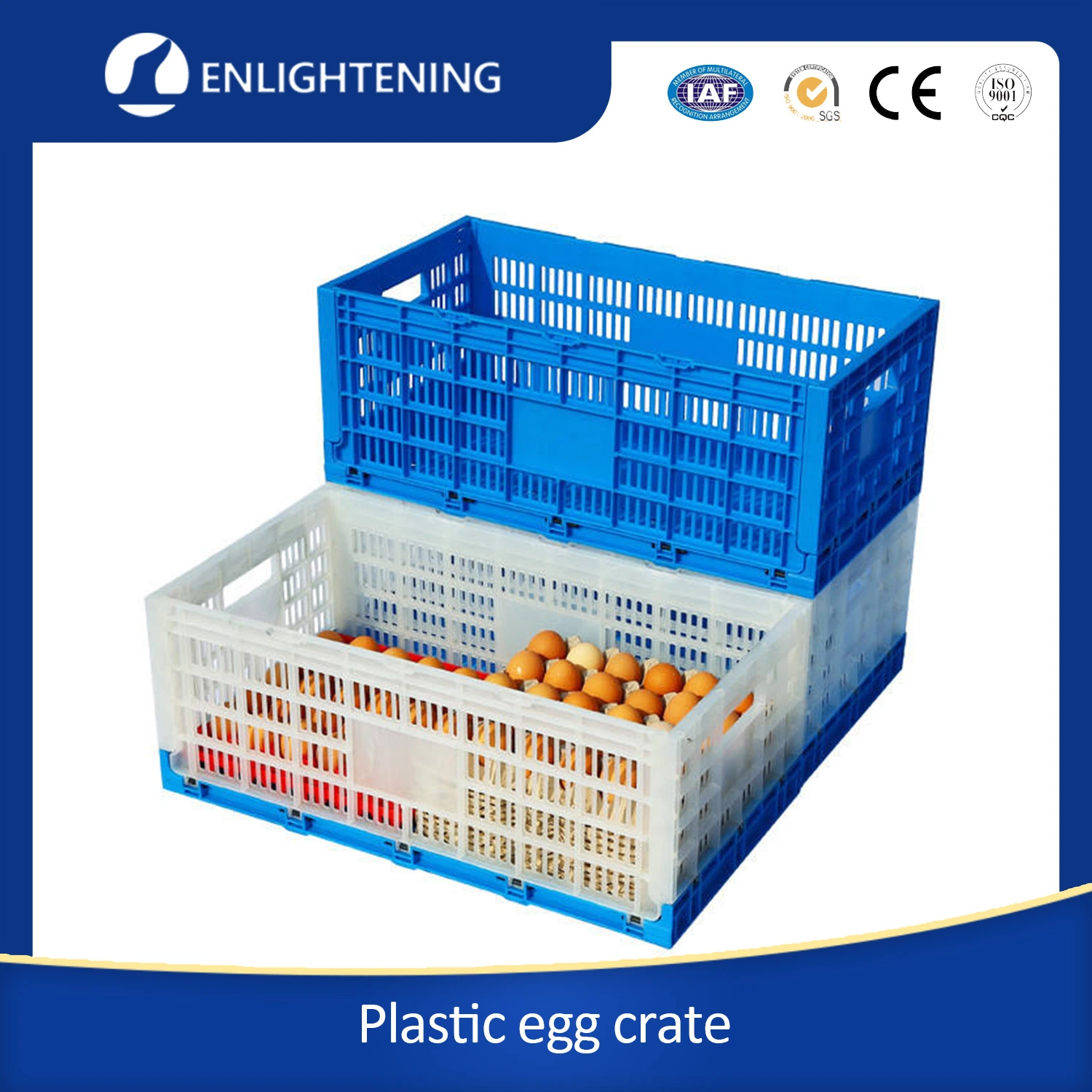 High quality/High cost performance  Large Mesh PE Durable Plastic Egg Tray Plastic Egg Crate for Supermarket