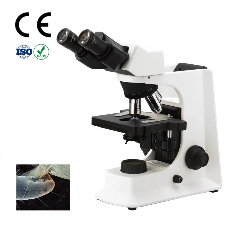 Education /Clinic Trinocular Biological Microscopes with Digital Mount