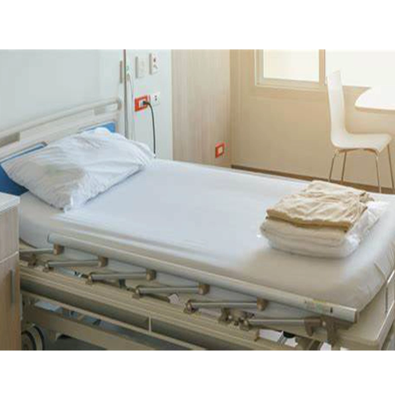 Servicio de Ingeniería de una parada de fábrica Multi-Functional Health Care Hospital Bed Synonym