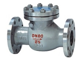 Flexible Cast Iron Buffer Damping Swing Rubber Seated Non Return Check Valve