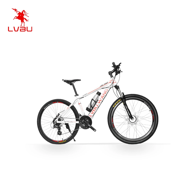 Rueda Lvbu Venta caliente Hidden Power Electric Motor Ebike 250W de la UE Werehouse 350W