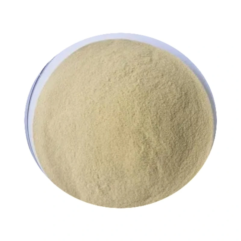 Herb Extract Health Protection Additives Protect Ppleen and Stomach Semen Euryales Powder