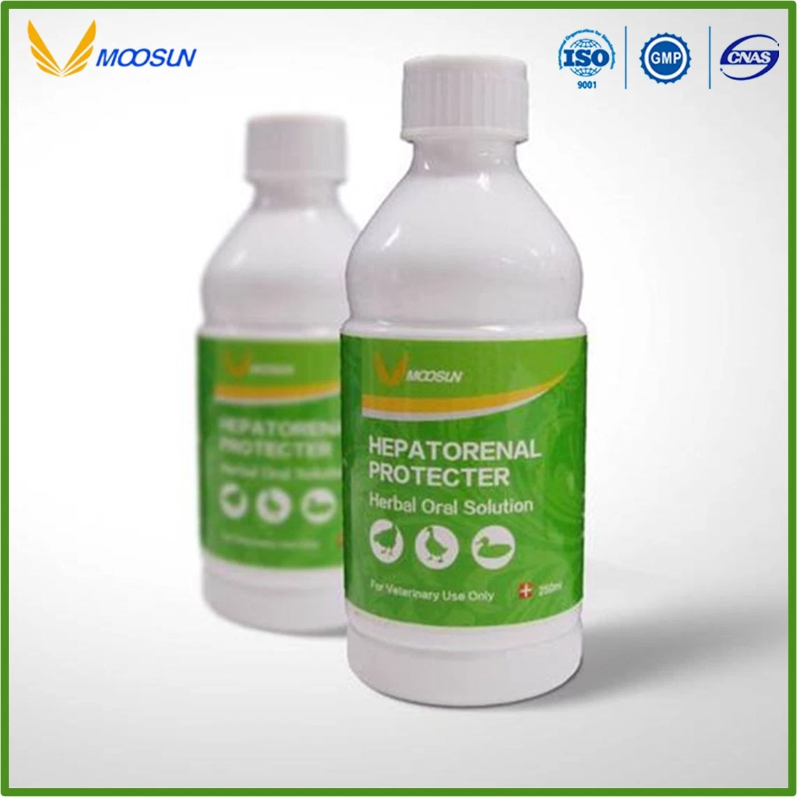 Chinchines Medicina Veterinaria herbaria Proteador hepatorrenal para aves de corral