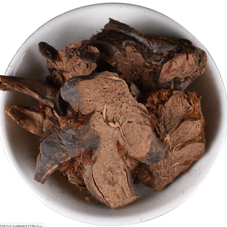 Guan Zhong China Supply Natural Dried Herbal Cyrtomium Rhizome