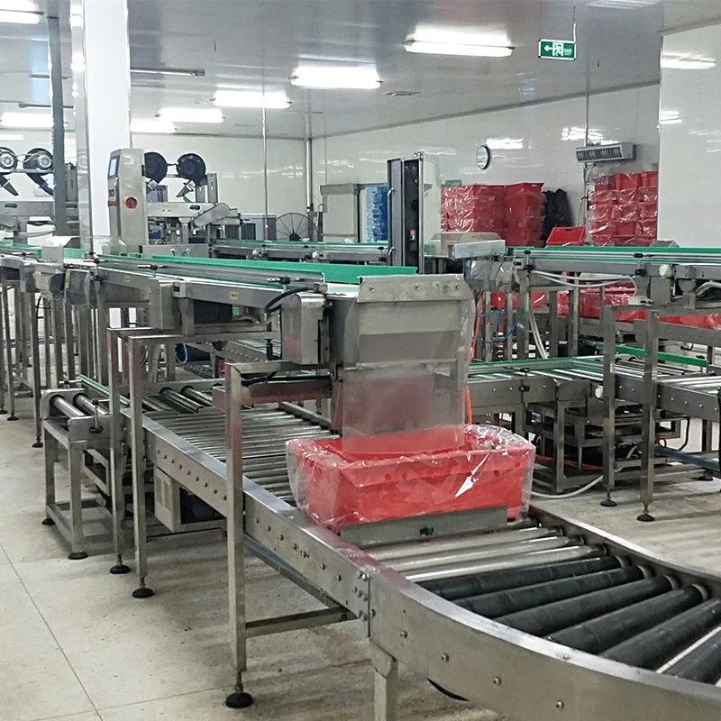 High Precision Flexible Chain Conveyor Machine Used in Different Industries