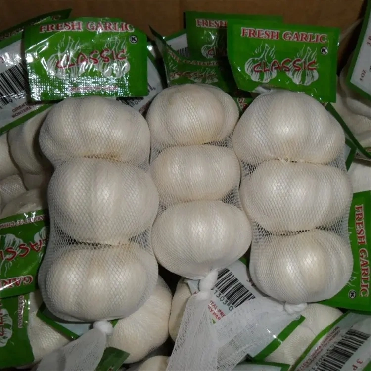 Indonesia High quality/High cost performance Wholesale/Supplier Fresh Normal White Garlic