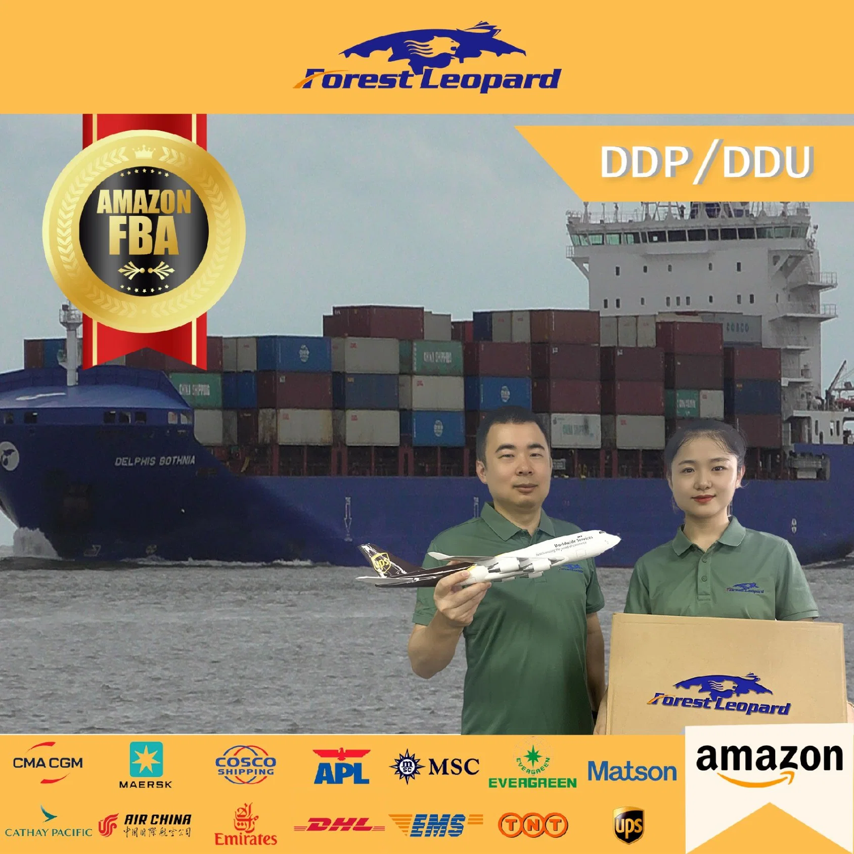 Seefracht Reedereien Tür zu Tür Service China zu USA UK Miami Deutschland von Shenzhen Xiamen Qingdao Shipping Agent