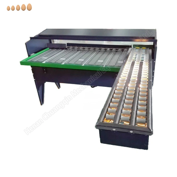 Egg Grading and Washing Machine Egg Sorter Machine Egg Grading Machine Egg Grader Machine Egg Sorting Machine Egg Size Grader Egg Weight Grading Machine