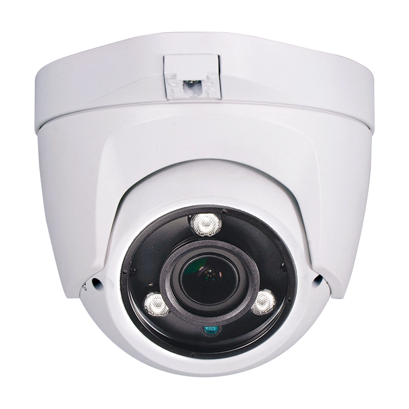 Full-Color Night Vision Outdoor Dome Network Camera CCTV Camera Price Support Microphone SD Card WDR