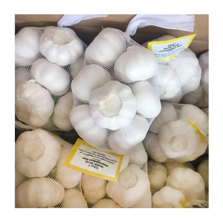 Pure White Garlic From China