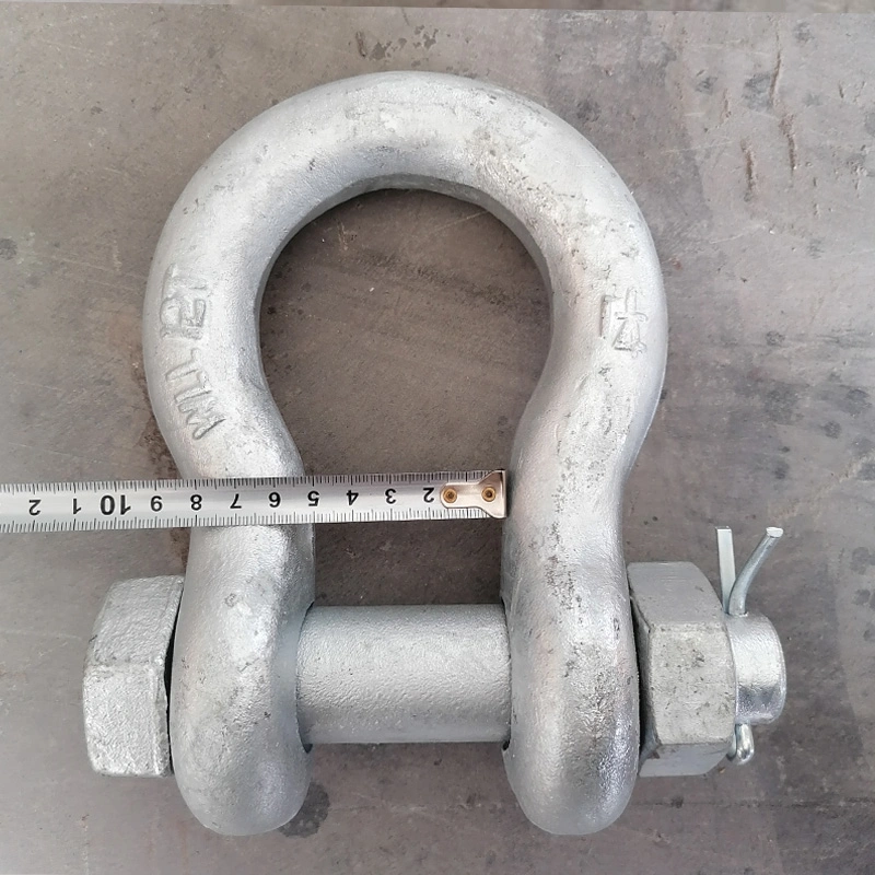 Screw Pin Anchor Shackle for Ship