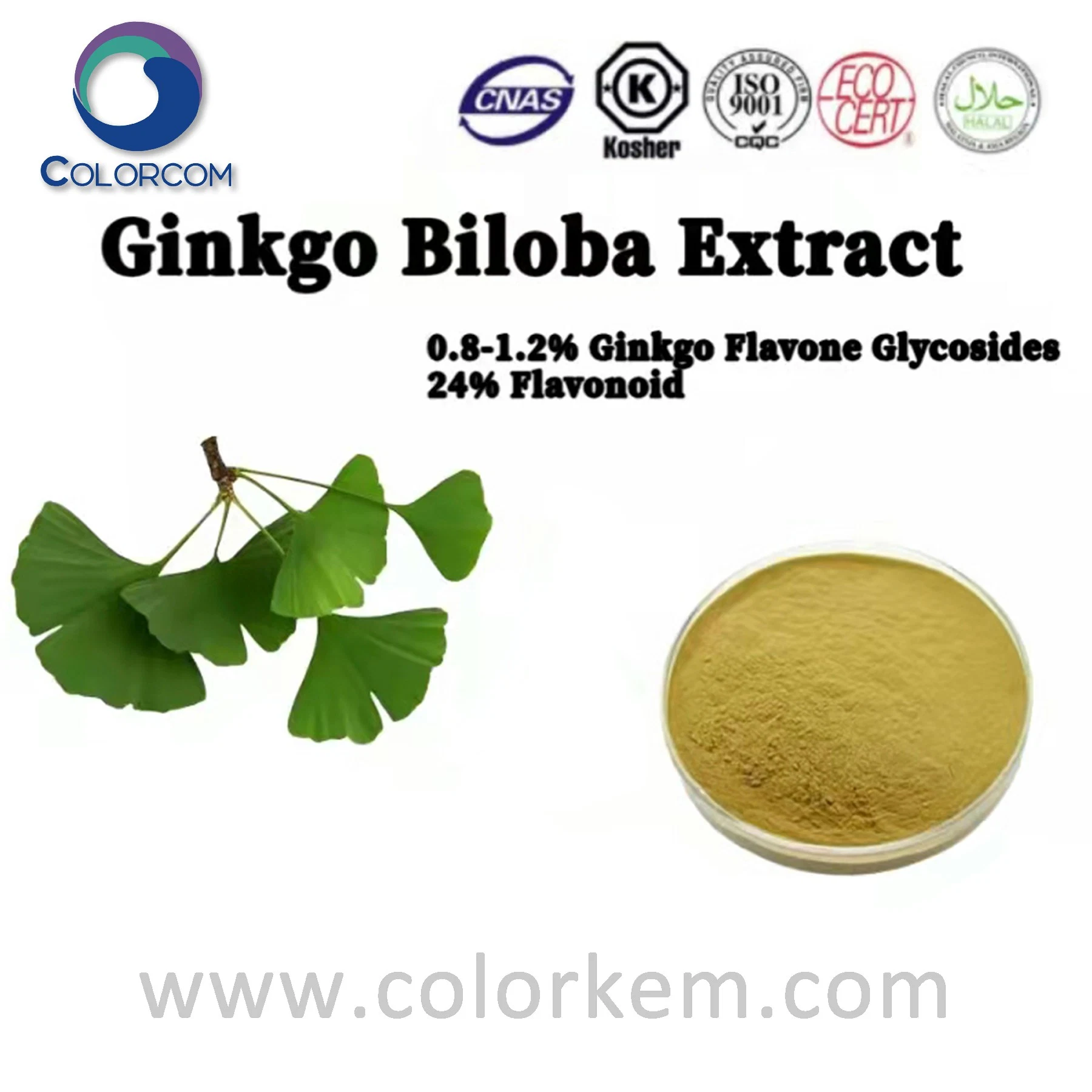 Ginkgo biloba استخراج 0.8-1.2 ٪ Ginkgo Flavone glycoides CAS 90045-36-6