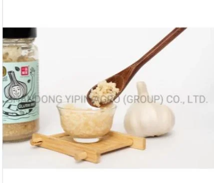 Export China Product for Sale Fresh Ginger Garlic Paste