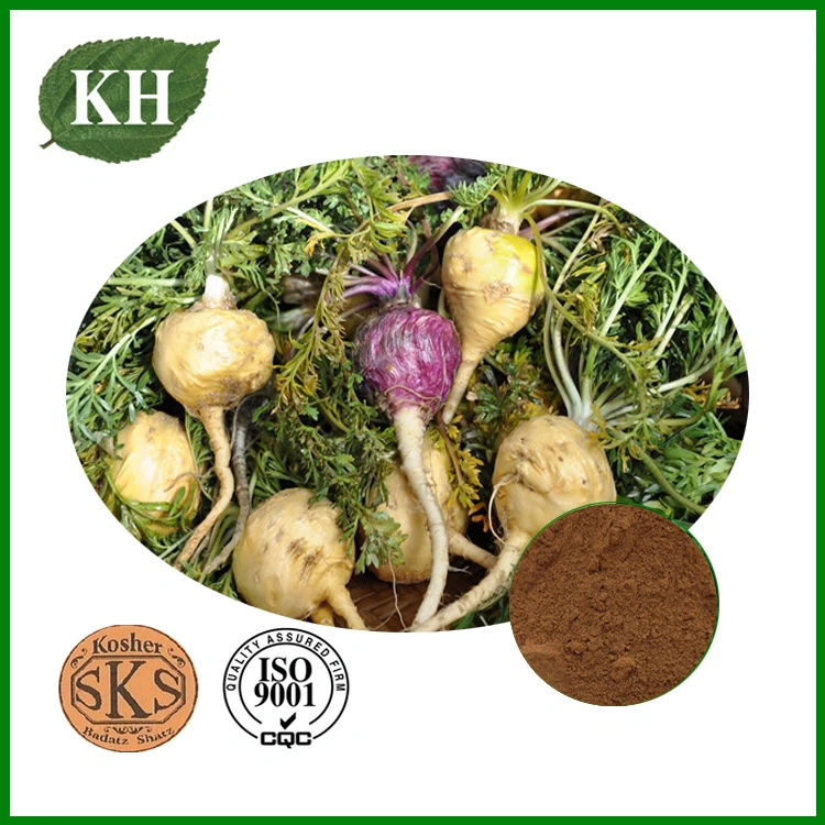 High quality/High cost performance Maca Extract Macamide, Macaenes, Maca Extract Powder