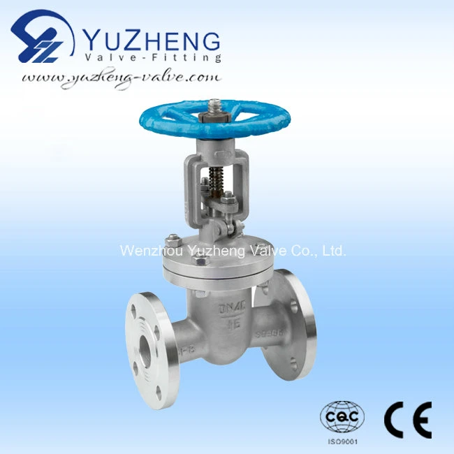 SS304 Stainless Steel Blow-Down Gate Valve for Industrial Use