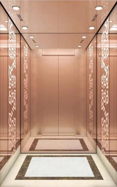 Various Design Passenger Elevator/ Passenger Lift