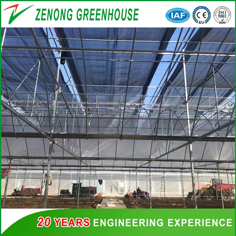 Chinese Greenhouse Manufacturer Fabricated Poly-Tunnel Poly Film Greenhouse with Wet Pad and Fans for All Season Vegetable Culture