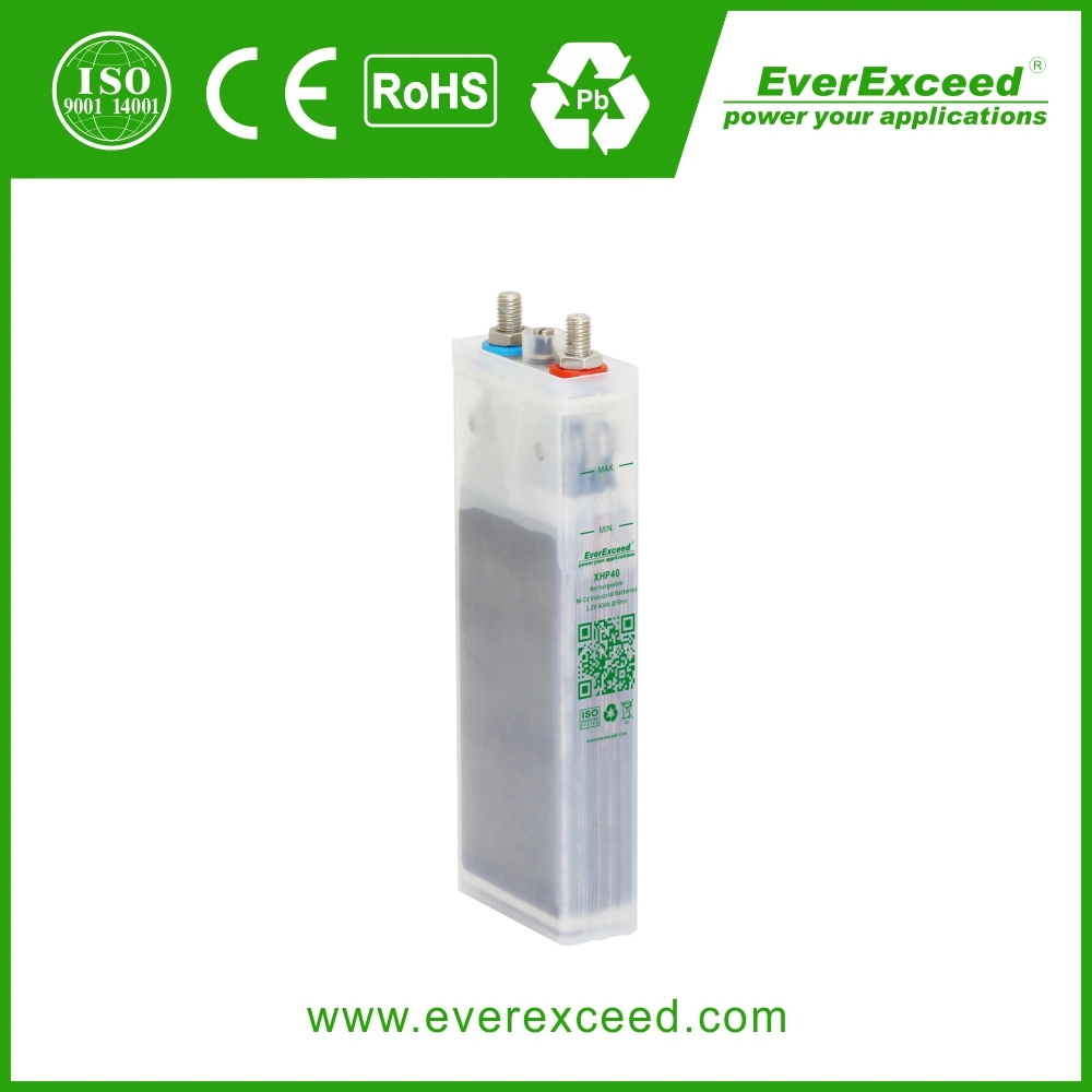 Everexceed Nickel Cadmium lange Lebensdauer-Speicherbatterie Wiederaufladbare NiCd-Batterie Paket